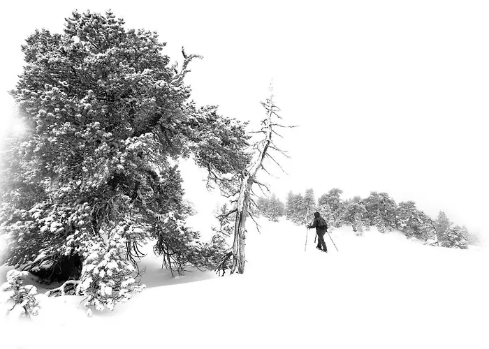 Luxuszelt Atipic Arette